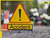 Another accident in Madhya Pradesh, SUV ramps into Durga idol immersion...