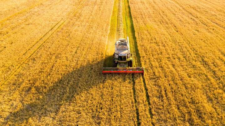 Con la ayuda de las retenciones cero, el agro liquidó US$ 7.100 millones en septiembre