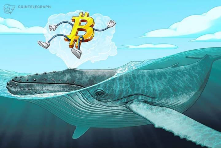 Movimiento de ballenas: ¿Se acerca la venta masiva?