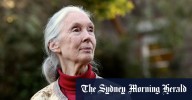Jane Goodall had ‘old friends’ in Sydney, but rebuked nation’s conservation efforts