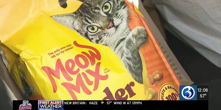 SNAP benefits lapse creates concerns for pet owners across Connecticut