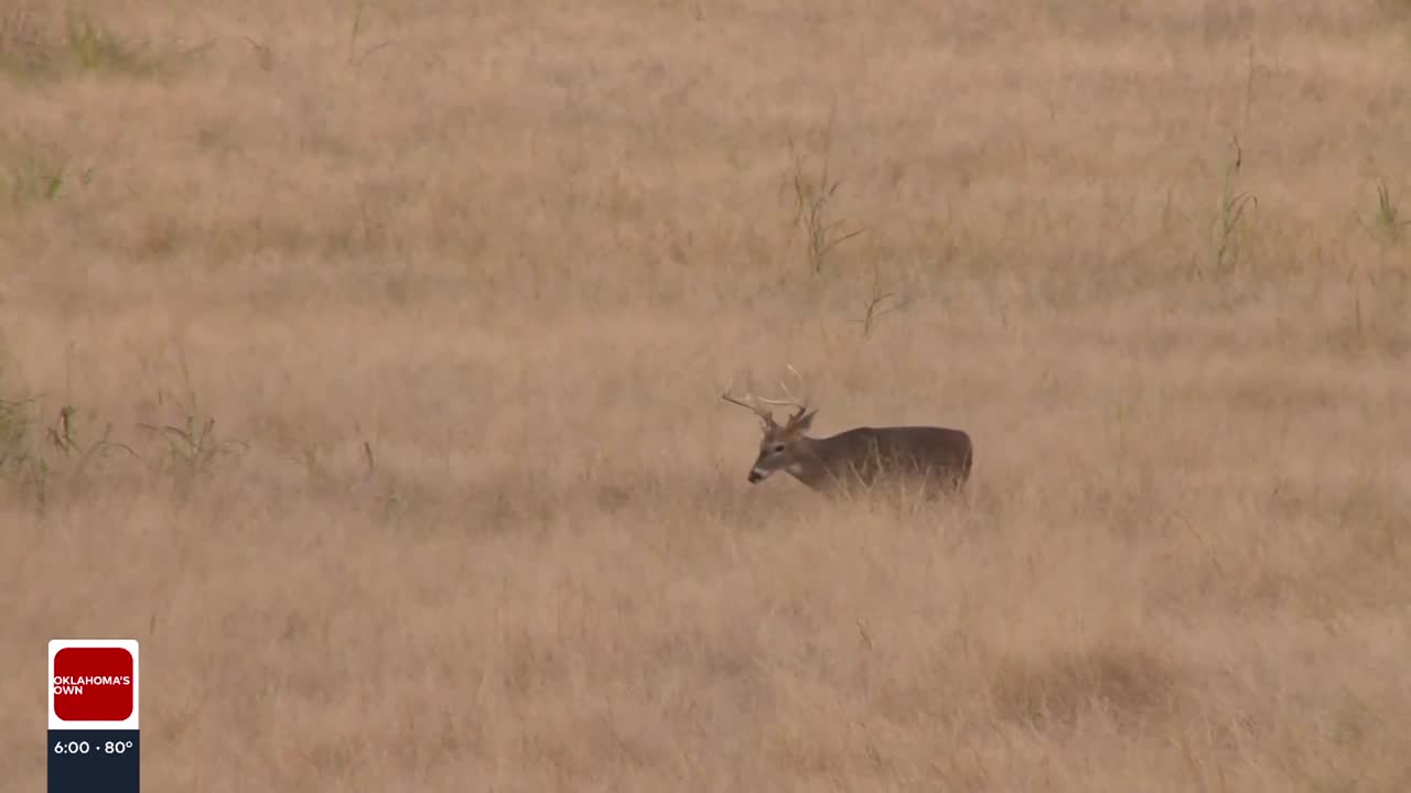 Tribal Nations dispute claims in "reminder" from State of Oklahoma on hunting and fishing licenses