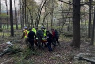 Elderly Man With Possible Dementia Lost In the Woods of New York Through the Night