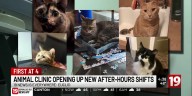 NEW EMERGENCY PET CLINIC