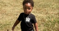Boy, 2, mauled to death by two Rottweilers at nursery after carer 'took nap'