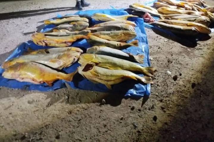 Secuestraron en Concordia más de mil kilos de pescado en un operativo de fiscalización