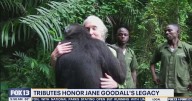 Tributes hoor Jane Goodall's legacy