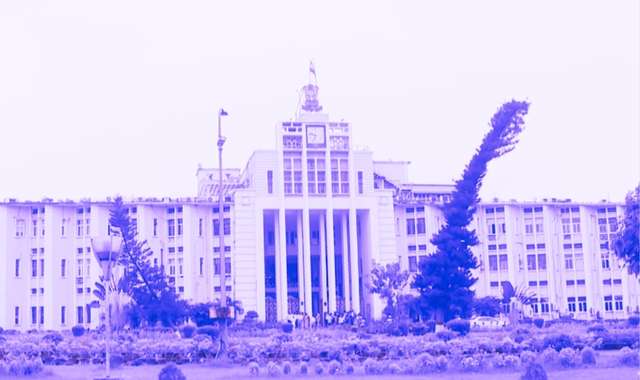 Odisha Govt Appoints Nine IAS Probationers as BDOs