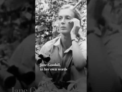 Jane Goodall, in her own words