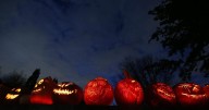 Celebrate the spooky season with Halloween events