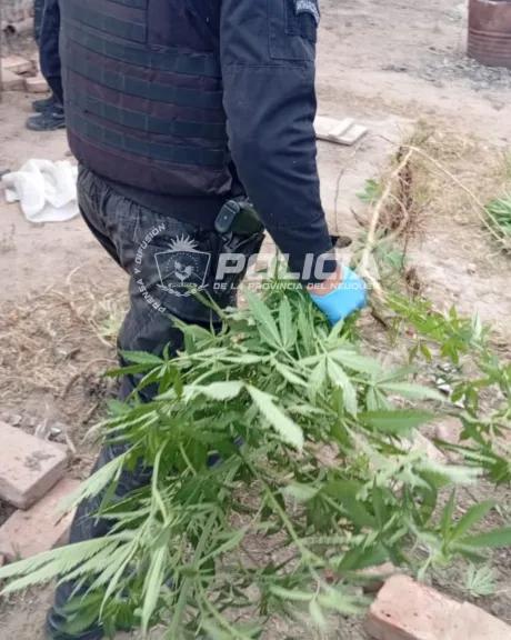 Secuestran más de un kilo de marihuana y demoran a un hombre por amenazas agravadas en Plottier