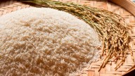 Mundo celebra Día Internacional del Arroz