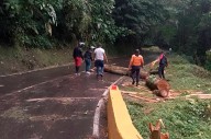 Activan equipos de alerta preventiva en Ocumare para el despeje de la carretera