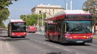 Horarios especiales de Tussam para la Noche en Blanco
