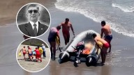 Profesor puneño muere ahogado rescatando alumno en Mollendo
