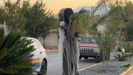 Vecinos de la colonia Lafragua decoran principal bulevar con temática de Halloween