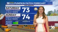 A chilly Friday morning with a warmer weekend ahead