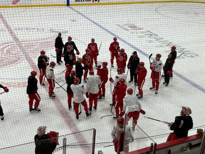 Red Wings ‘energized, invigorated’ by influx of youth