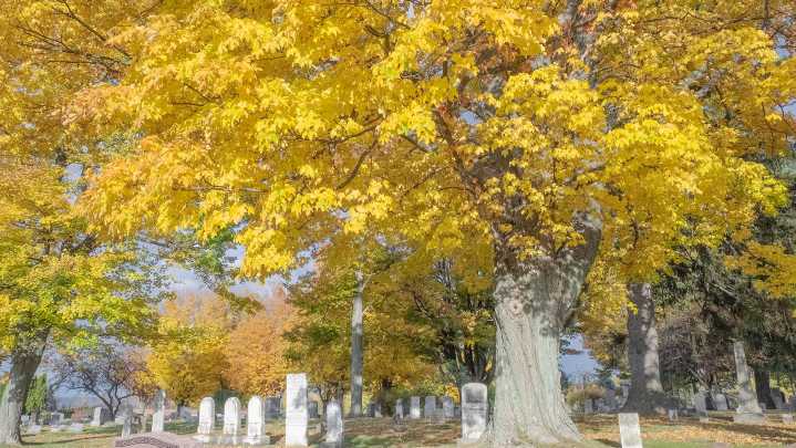 Webster photographer's new book shows how cemeteries have changed with the times