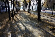 ¿Piensas viajar la semana de Acción de Gracias? Antes échale un vistazo al pronóstico del clima en Estados Unidos según el Almanaque del viejo Granjero