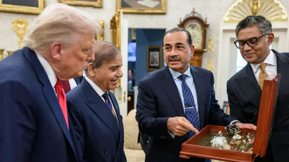Pakistani Senator Mocks Army Chief Munir; Calls Him 'Salesman' For Showing Rare Earth Stones To Trump