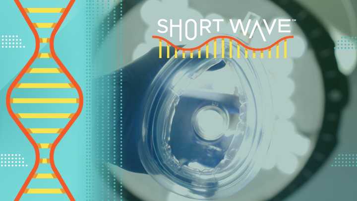 What Happens When You're Under Anesthesia? : Short Wave : NPR