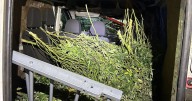 Van 'full of stolen cannabis' dumped in Warwickshire after Thames Valley police chase