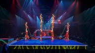 What happened to animals from Ringling Bros.? Circus heads to Florida