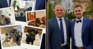 Histórico: una pareja se casará con sus perros como testigos de honor en Mendoza