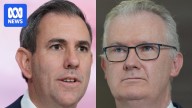 Jim Chalmers and Tony Burke are in a long race for prime position