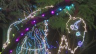 ZooLights tickets now on sale for the holidays season