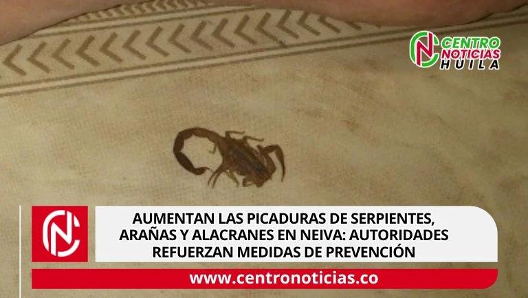 Aumentan las picaduras de serpientes, arañas y alacranes en Neiva: autoridades refuerzan medidas de prevención
