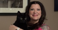 Magic cat predicts future by pawing at Tarot cards