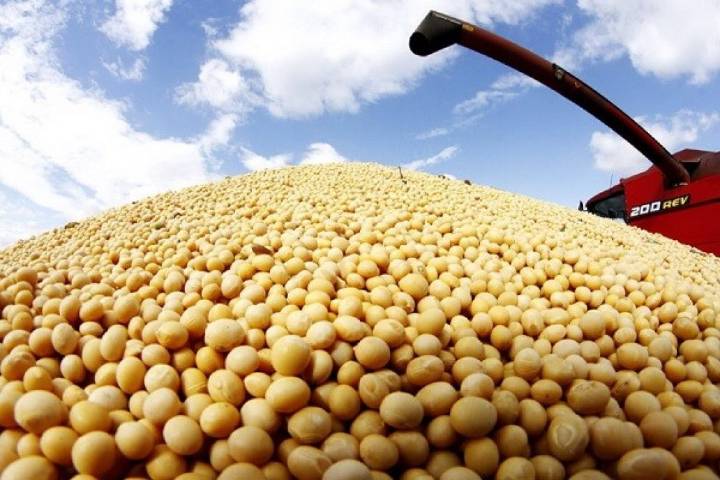 China apuesta a Sudamérica: Reemplaza soya de EEUU