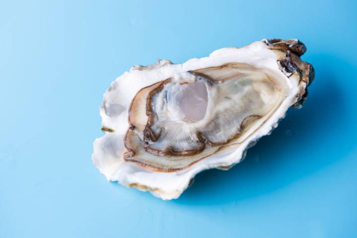 Eating Raw Oysters Can Make You Sick Even in Cooler Months