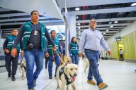Titular del MIDAGRI supervisa labores de control fitosanitario en el Aeropuerto Internacional Jorge Chávez