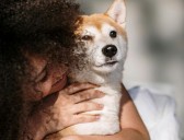 27 Things That People Believe Are Worth The High Price Tag