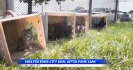 Yellowstone Valley Animal Shelter plans to relocate after drug fumes incident
