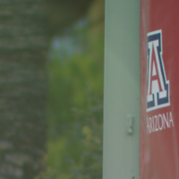 Mixed reactions at UArizona over Trump's academic excellence memo