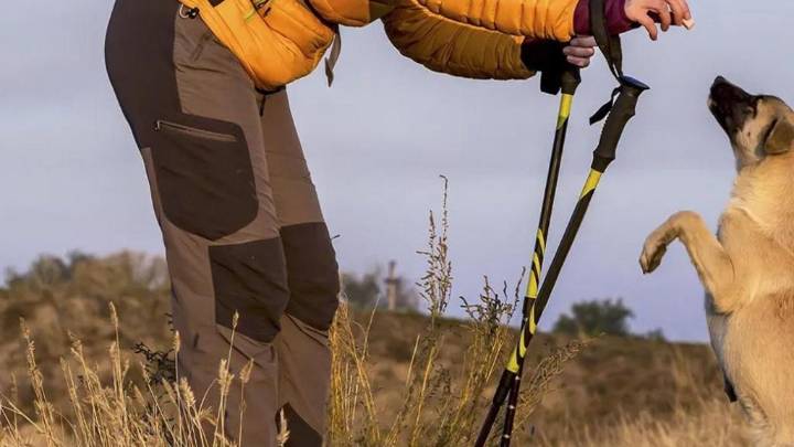 Best hiking pants