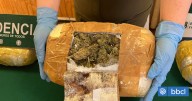 Control a bus con destino a Puerto Montt termina con 32 kilos de droga incautada y mujer detenida