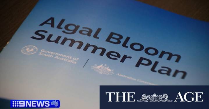 $102.5 million plan to manage algal bloom in the summer