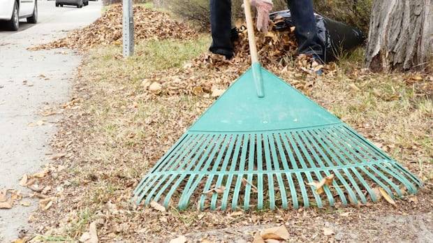Winnipeg curbside yard waste collection ending for the season
