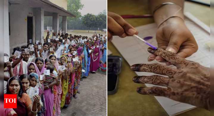 Bihar polls: EC allows 12 alternative documents apart from EPIC for voting; special arrangements for 'purdanasheen'