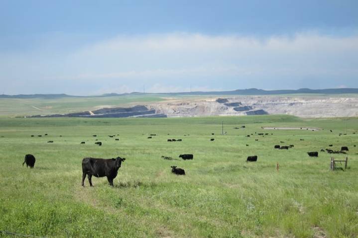 Wyoming congressional delegation wants to override BLM coal lease ban