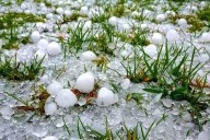 Hailstorm Wrecks Apple Orchards, Paddy Fields in North Kashmir’s Rafiabad