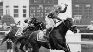 Pat Day's Hall of Fame jockey career through photos