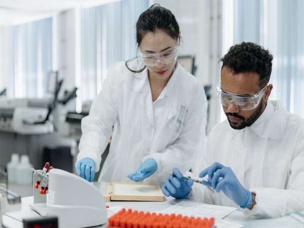 Sense of order distinguishes humans from other animals: Study
