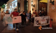 Exigen animalistas revisión de leyes tras caso de maltrato en Yucatán