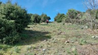 El nuevo sendero imprescindible para visitar en Cáceres: une a la provincia con Ávila